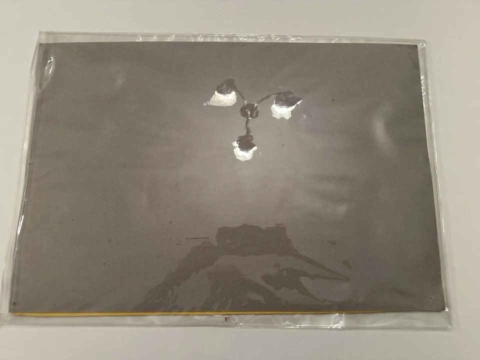 Nueva bandera de la Copa Ryder 2012 39 autografiada Fluff Cowan & Bubba Watson Medinah Foto 4 de 4