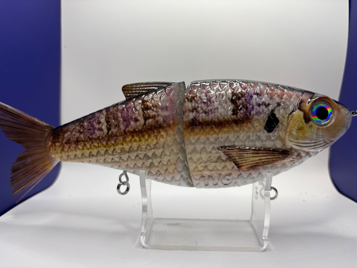 Leurres TYG Silencer Glide Swimbait - 2 Appâts (7 Et 5,5) - Pour