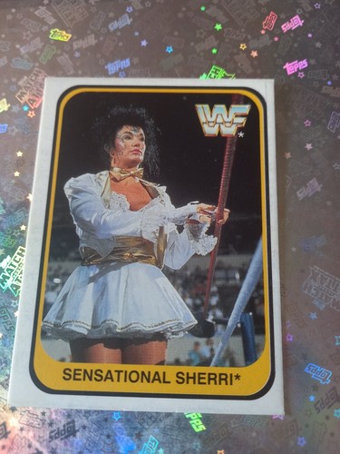 MERLIN WWF CARDS 1991 WRESTLING ITALIAN VERSION A SCELTA: UNDERTAKER MACHO MAN . - Foto 31 di 88
