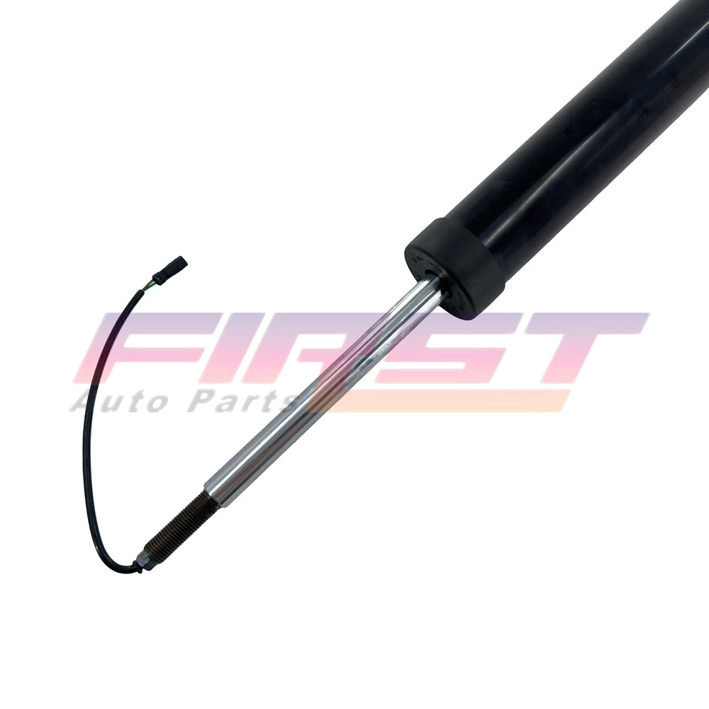 Maserati Quattroporte 2013 FRONT Shock absorber