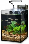 2.2 Gallon Desktop Aquarium Kit for Betta, Goldfish & Shrimp - Complete Set