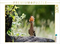 Calvendo Puzzle Wiedehopf | 1000 Teile Lege-GrößE 64X48Cm Foto-Puzzle FüR GlüCkl