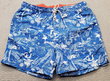 Lands' End Swim Trunks Shorts Mens Large Multi Great Lakes Map Drawstring Waist