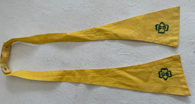 Vintage Gilr Scout 2 Piece Yellow Tie from the 60 s