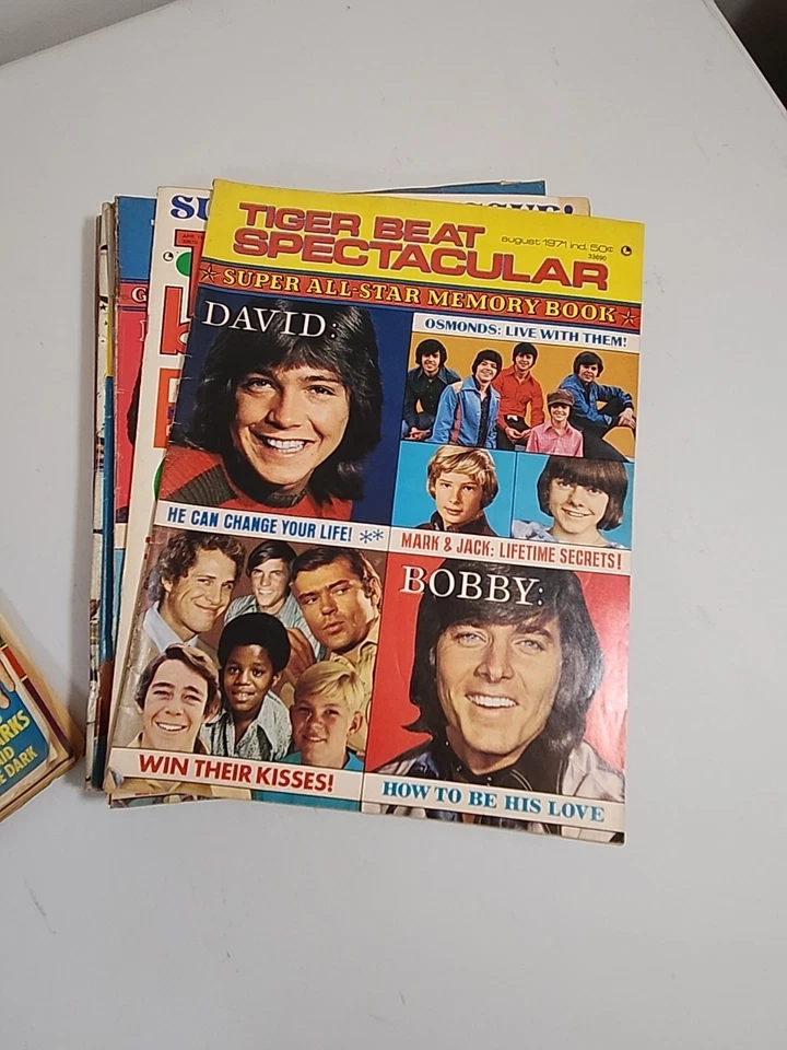 Vintage Lot Of 14 Tiger Beat & Teen World Magazines - Image 3 of 4