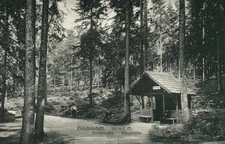 AK* Freudenstadt, 740m above sea level - Palm Forest - Köhlerhütte (AB)70157