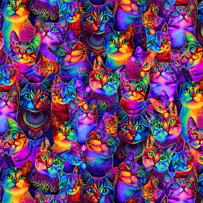 Feline Drive Fabric WILDCAT Packed Rainbow Cats Sold by the Yard