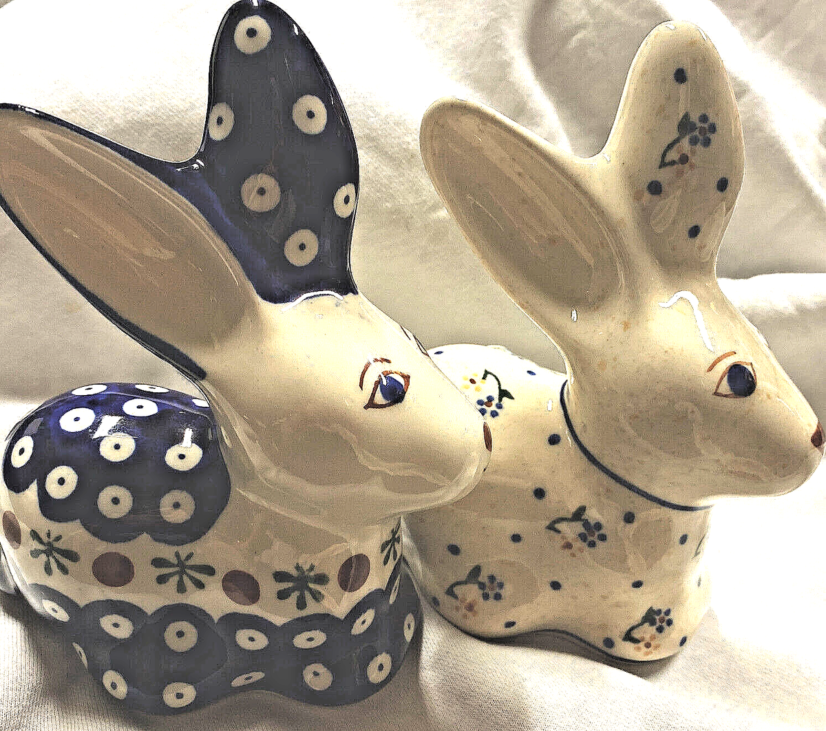 San Antonio Polish Dwarf Rabbit For Sale Boleslawiec Polish