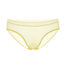 Women Sheer Panties Seamless See Through Knickers Underwear Mesh Low-WaistBriefs