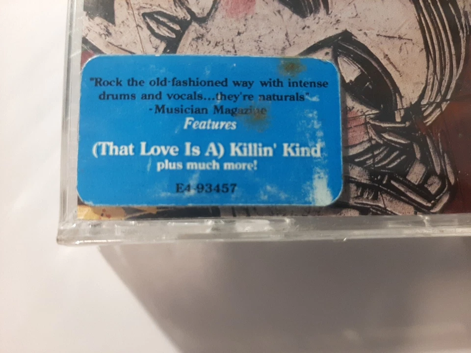 Questionnaires CASSETTE TAPE Anything Can Happen *Ryan Adams band NEW SEALED NIP - Image 2 of 4