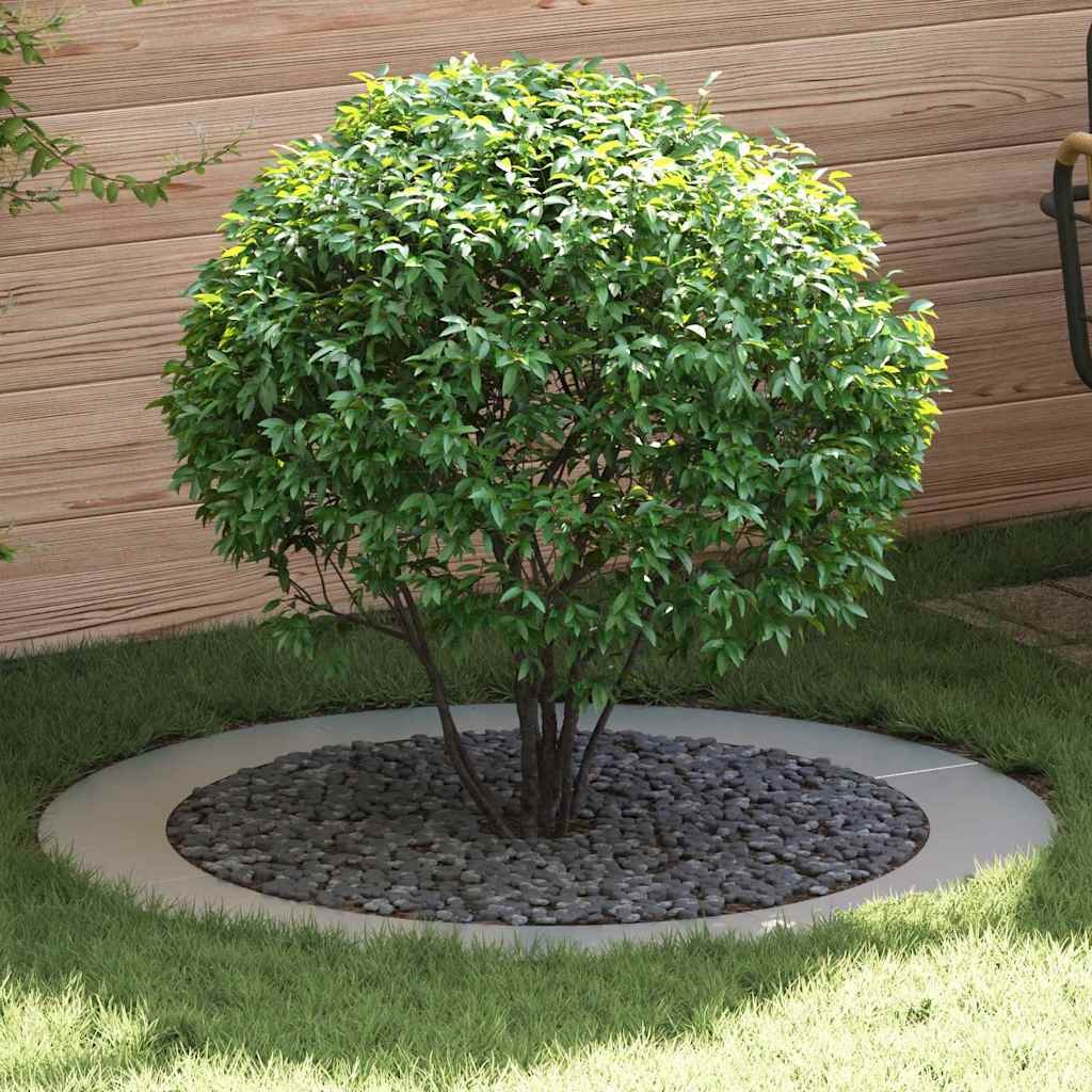 Set 5 Anelli Piatti per Alberi vidaXL Argento - Design Moderno Giardino