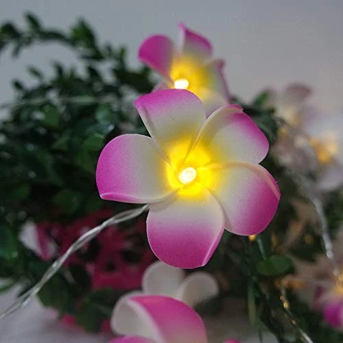 Cadena de luces de flores Plumeria 20 LED cadena de luces espuma hawaiana artificial Plu... Foto 4 de 4