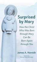 James A. Harnish | Surprised By Mary | Buch | Englisch (2024) | Cascade Books
