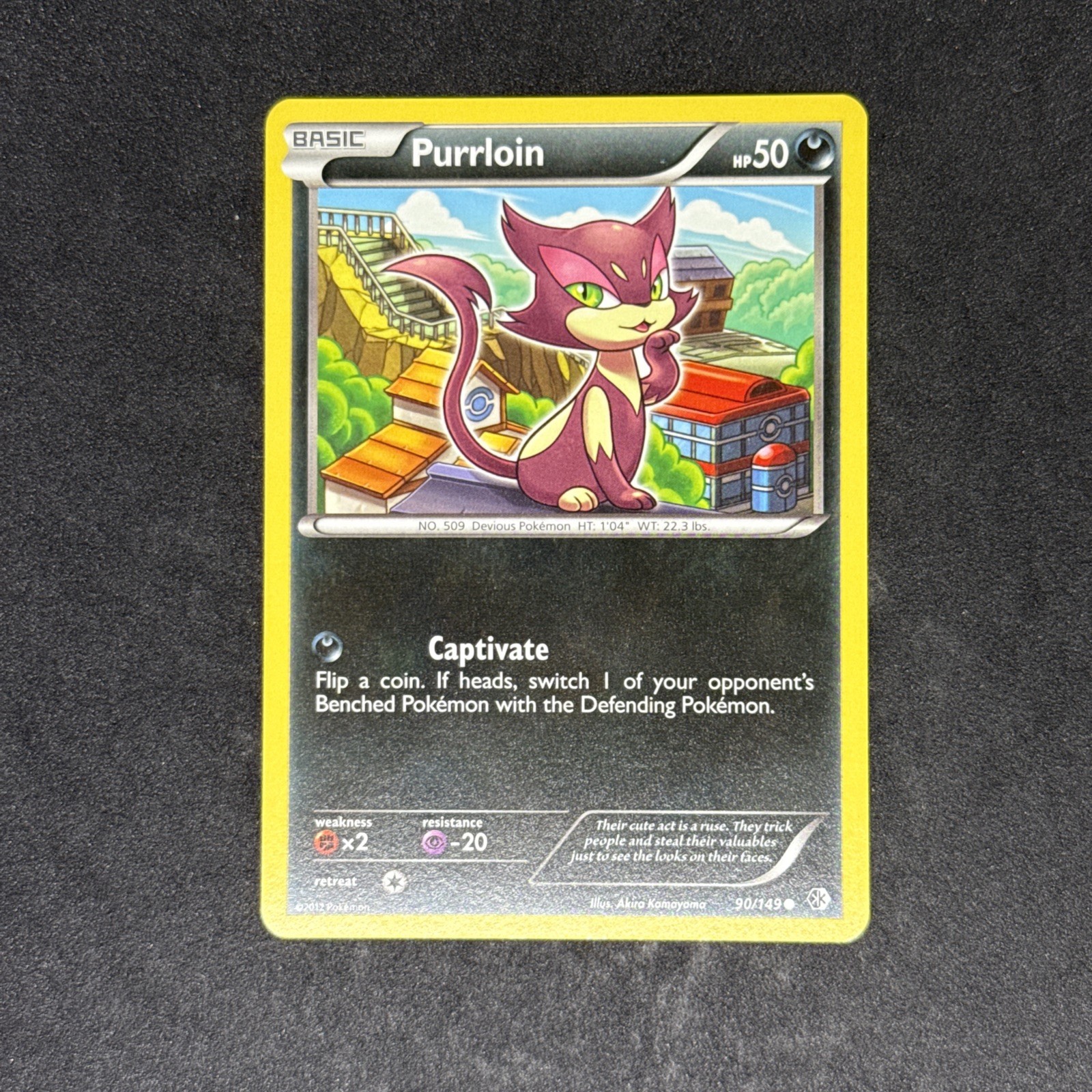 NM Purrloin 90/149 Boundaries Crossed Regular