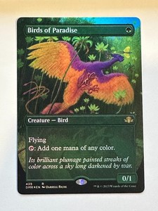 Birds of Paradise Foil 7th Edition | eBay