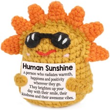 Thank You Teacher Appreciation Sunshine Gifts for Women Men, Birthday Bosses