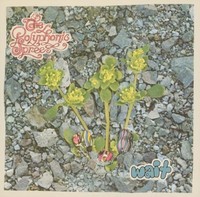 Polyphonic Spree - Wait - Cd - G3Z