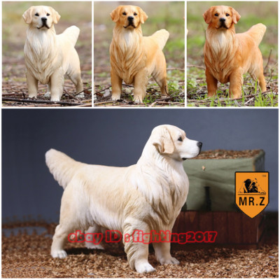 Mr.Z Animal Model 1/6 MRZ NO.24 Golden Retriever Dog Figure 001
