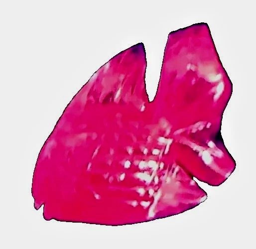 Rubí 7,59 quilates, tallado artístico a mano, tamaño: 17x12 mm, piedra preciosa natural, ¡muy raro! Foto 3 de 4