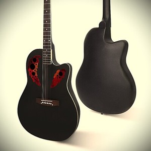 Blackbird Rider Guitar for sale | eBay