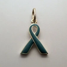 Sterling Silver & Hand-enameled AWARENESS RIBBON Child Abuse CHARM for Bracelet