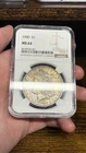 1900 MS64 Green Toned Morgan Dollar NGC