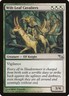 Shadowmoor Wilt-Leaf Cavaliers MTG Magic the Gathering NM
