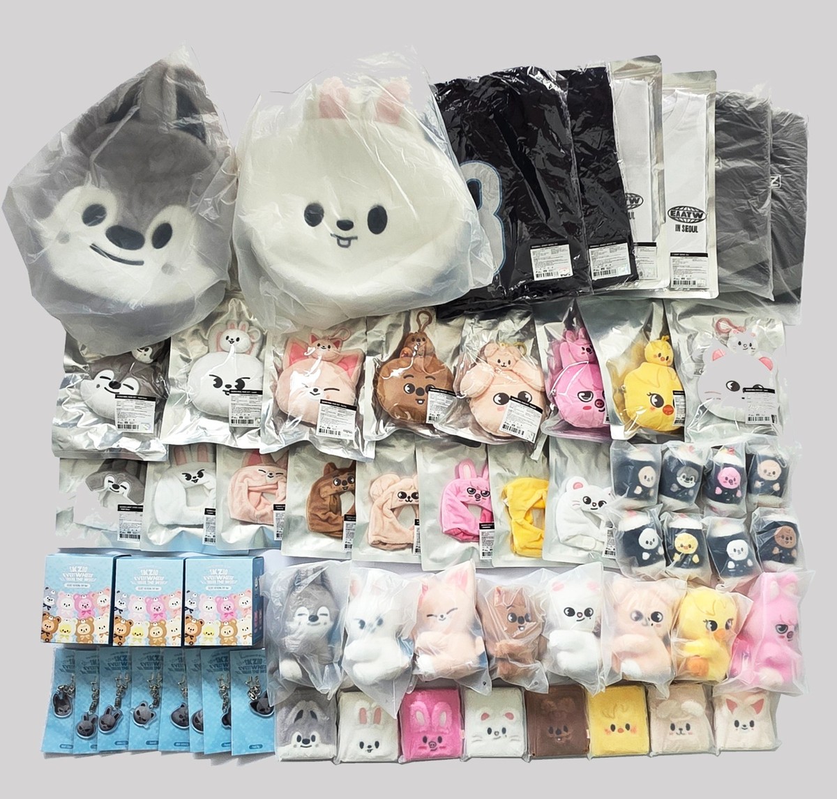 ON HAND] STRAY KIDS SKZOO EVERYWHERE ALL AROUND THE WORLD in SEOUL