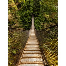 Delso Lynn Canyon Suspension Bridge Canada Photo Huge Wall Art Poster Print