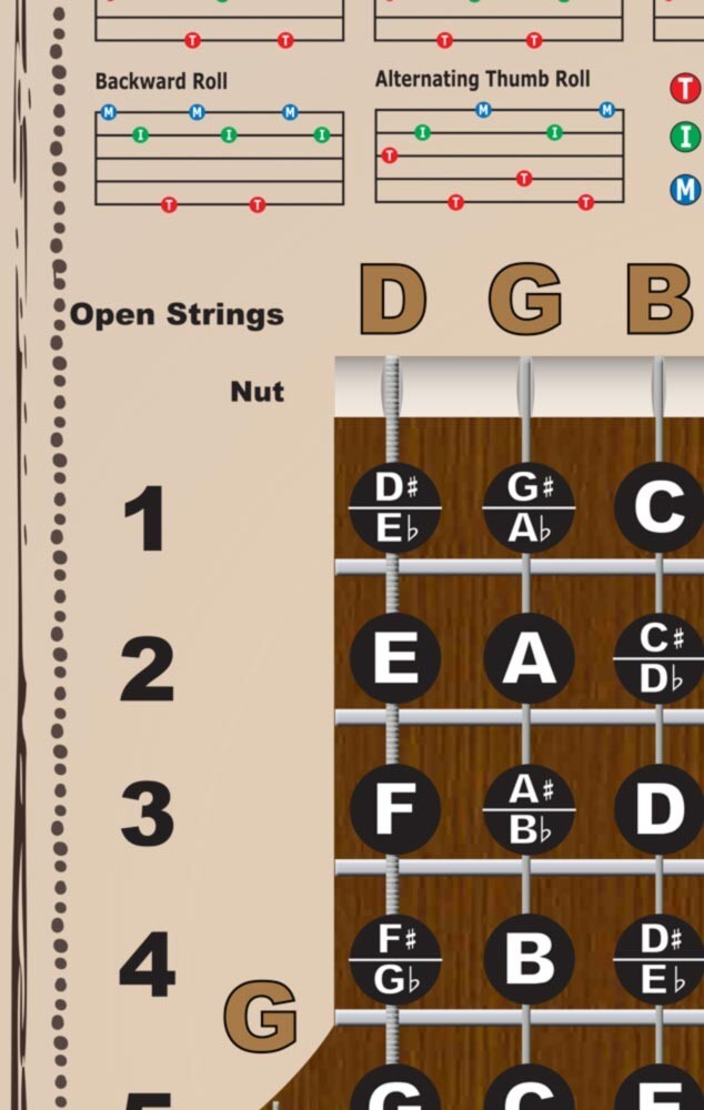 Left Handed 5 String Bass Fretboard Wall Chart Poster