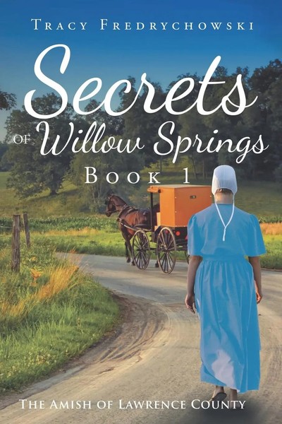 Tracy Fredrychowski | Secrets Of Willow Springs - Book 1 | Taschenbuch (2019)-image