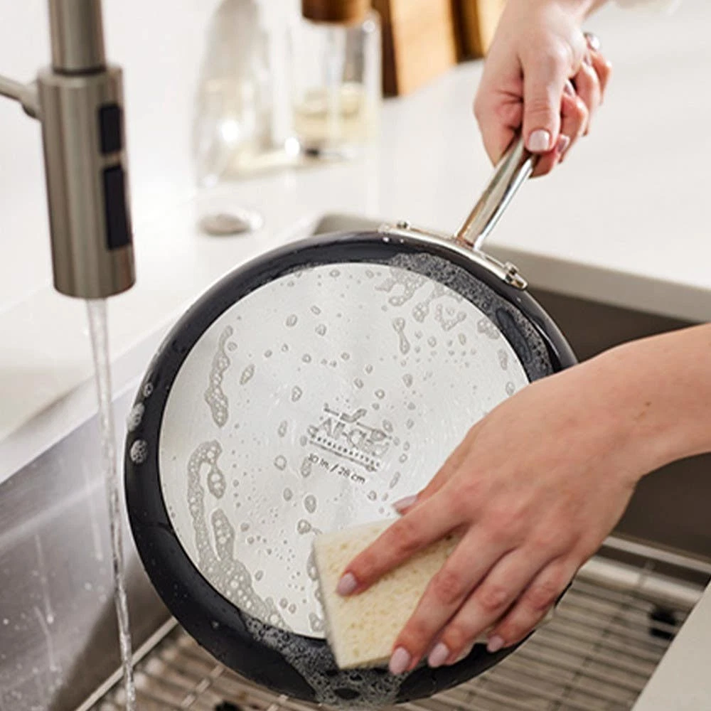 All-Clad NS Pro Nonstick Fry Pan