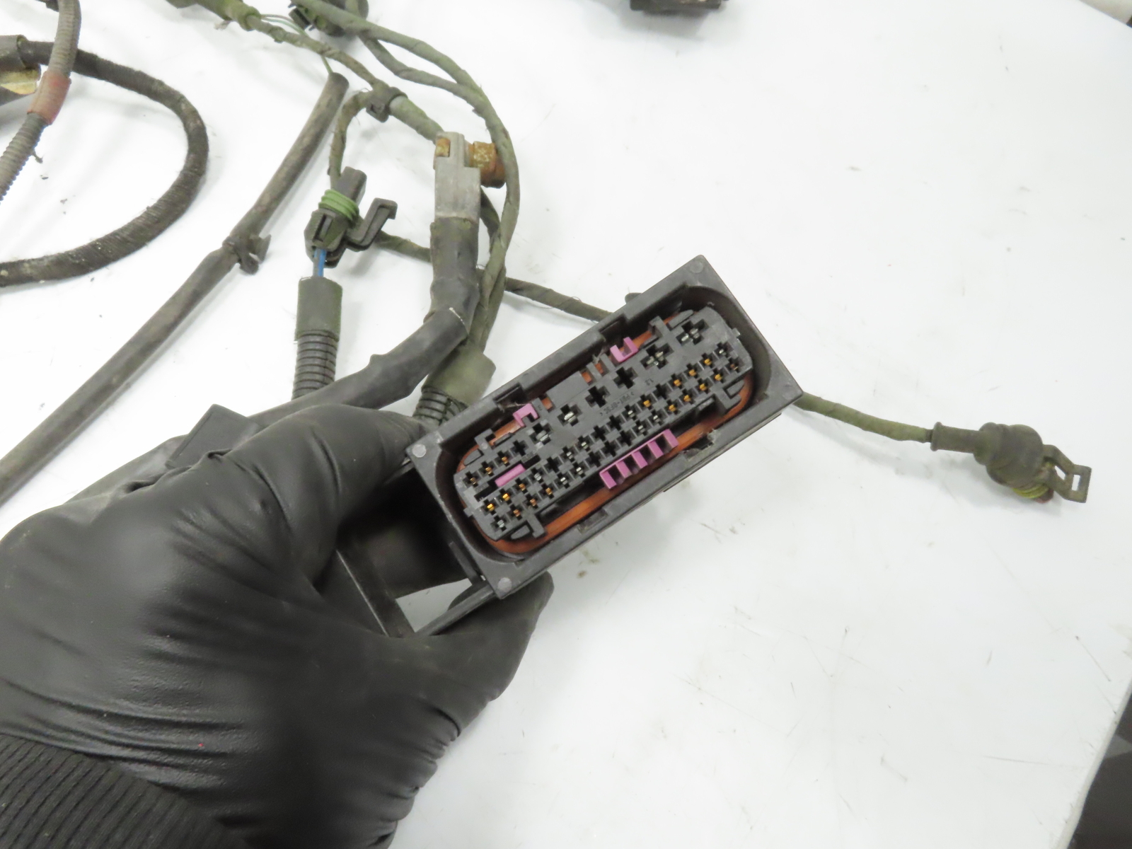 2004 Lamborghini Gallardo Wire, Wiring Main Body Harness & Plug Loom
