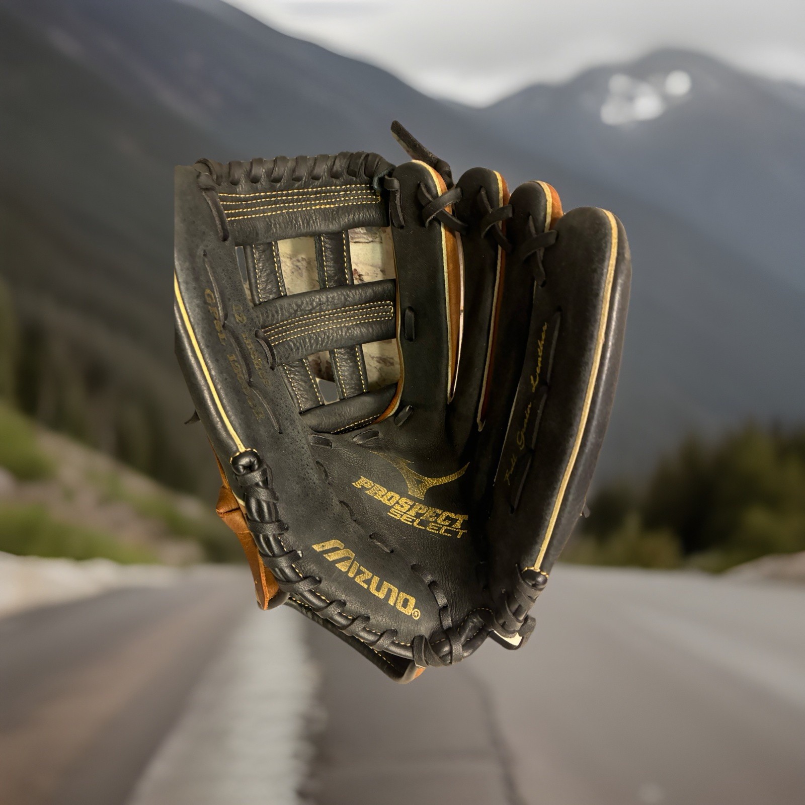 Right Hand 12 Inch Gpsl 1200br Black Brown Baseball Youth