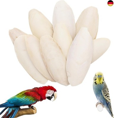 10 Stück 8-11 cm Sepiaschalen, Sepiaschalen für Schildkröten, handgemachte Ti