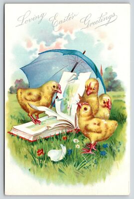Easter~Chicks Under Blue Umbrella Read Picture Book~Egg Shells in Meadow~TUCK