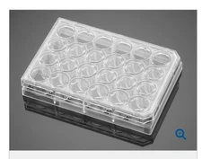 Falcon 353047 24-well Clear Flat Bottom TC-treated Tissue Culture Plate Cs 50