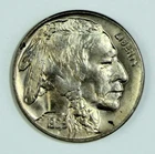 1929 Buffalo Nickel Lustrous Uncirculated BU UNC Indian Head 5c Coin