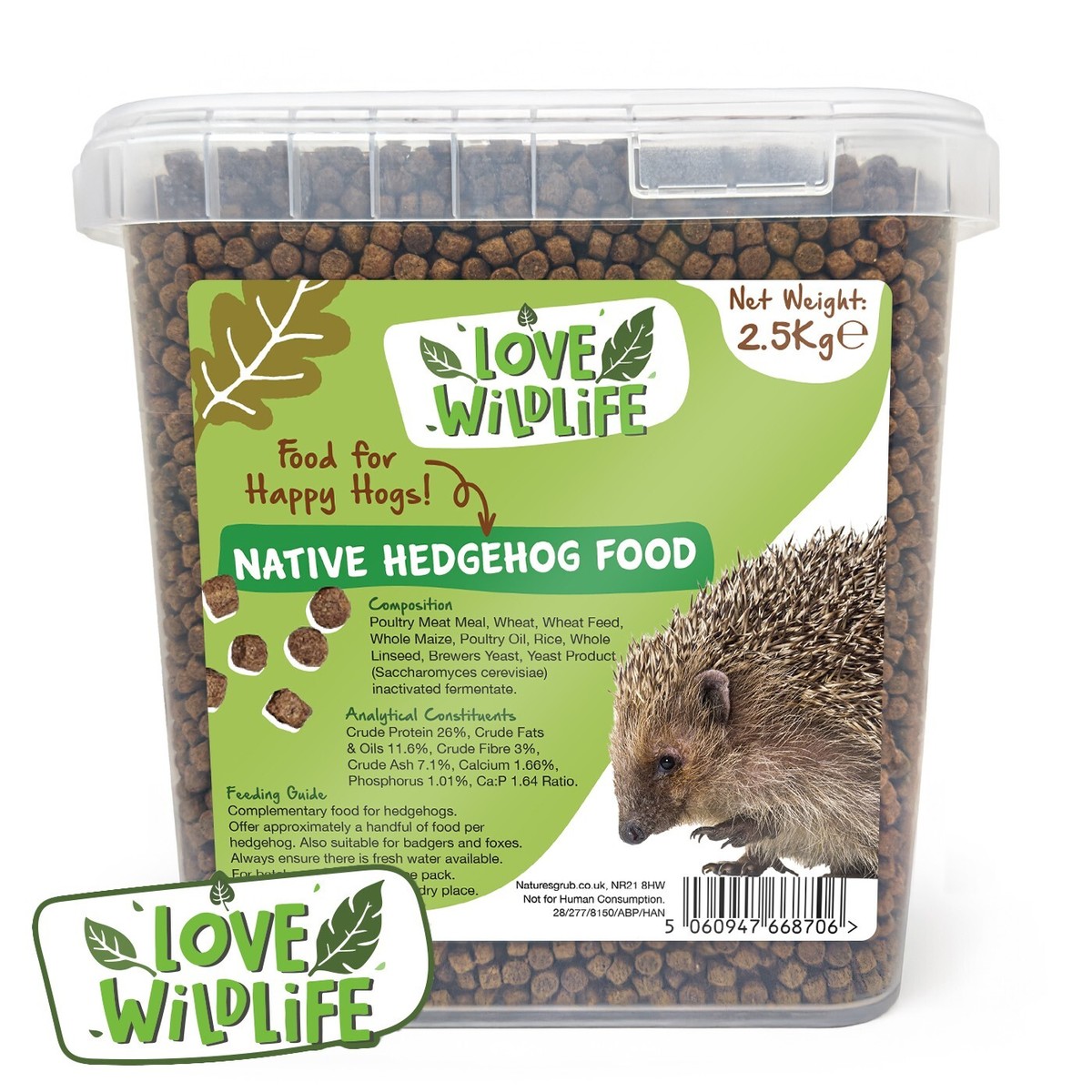 Dog Food Hedgehogs Eat Cat Food Wild Hedgehogs Can You Give