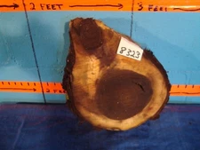  # 8323   2 1/4" THICK  black walnut log slice band saw cut shelf table