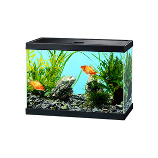 Ciano Aqua 15 Aquarium Black 13 litre Starter Fish Tank with Filter and Lid - Picture 1 of 5