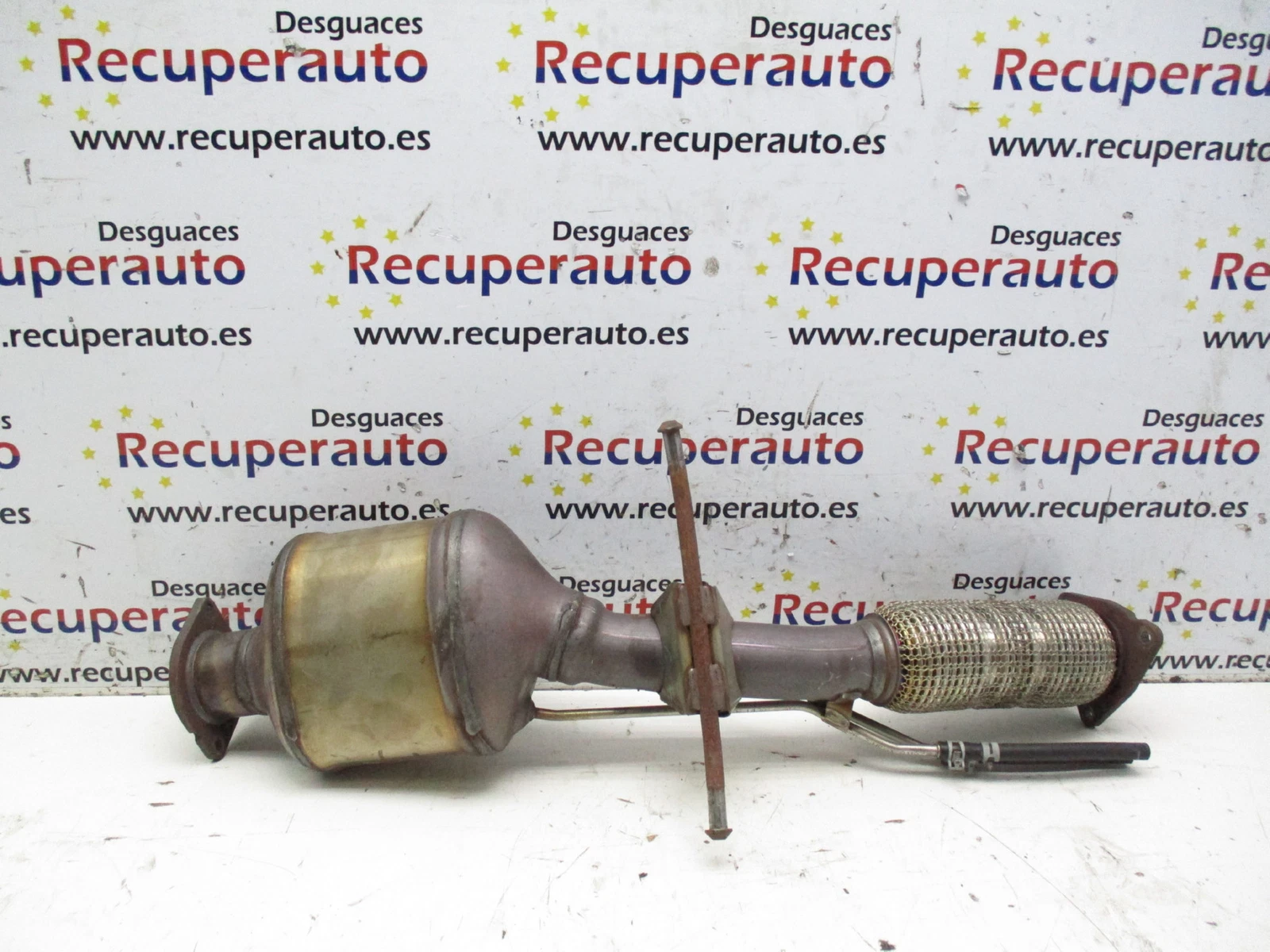 Imagen 5 de 5