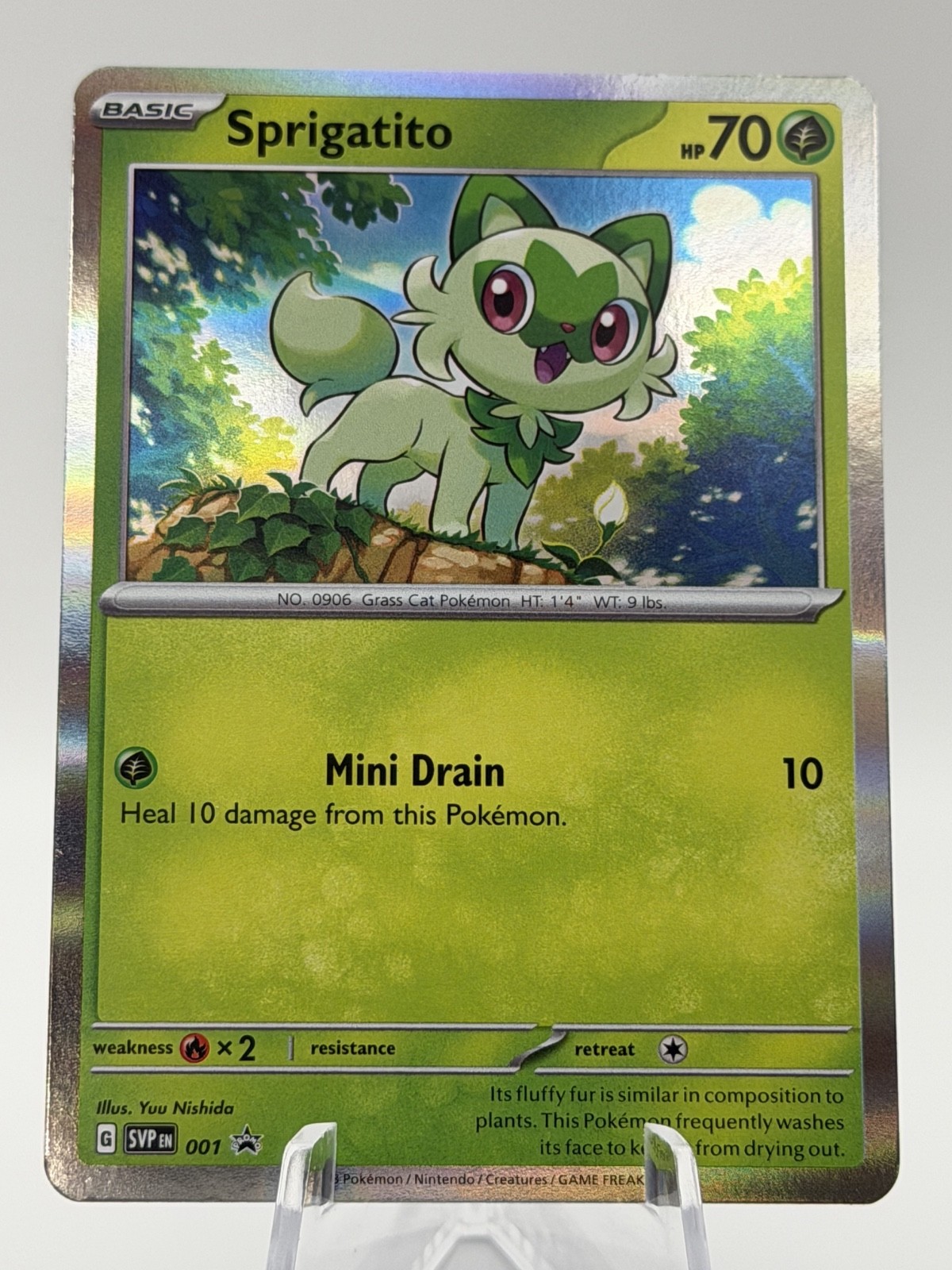 Pokémon TCG Scarlet & Violet Sprigatito 001 Black Star Promo Holo