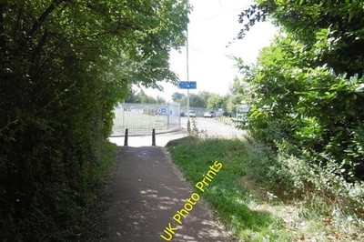 Foto 6x4 Pfad, Fällung Ufer Pelaw auf dem Straßennetz von der c2016