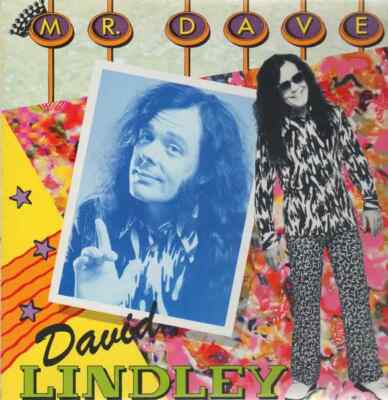 David Lindley Mr. Dave NEAR MINT WEA Vinyl LP