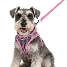 Small Dog Harness and Leash Set, Step in Puppy Vest with Breathable Soft Mesh...