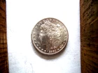 1881-S  MORGAN 90% SILVER DOLLAR / A GORGEOUS COIN / IN  BU BEAUTIFUL CONDITION