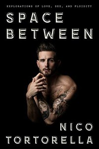 the space in between nico totortolla the space in between nico totortolla