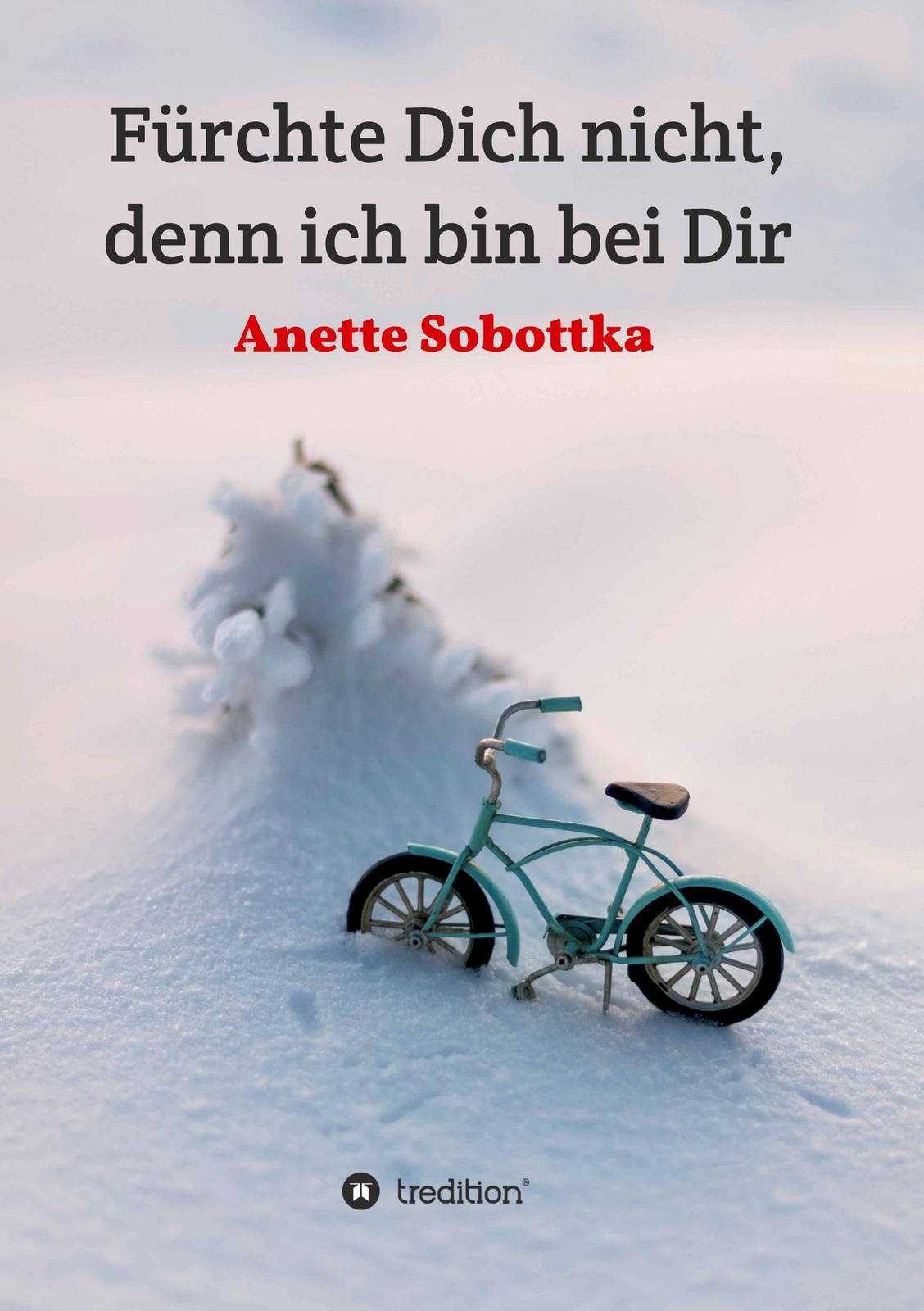 Thumbnail - Fürchte Dich Nicht, Denn Ich Bei Dir | Buch | 9783347191198