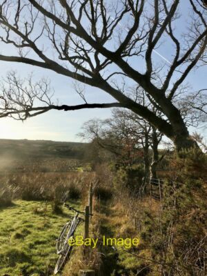 Foto 6x4 Ausgewachsene Hecke, Bogbank Houndwood 15 Jahre danach [[467143]] an c2021